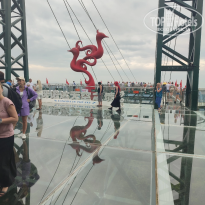 фото из отзыва ID 2722258