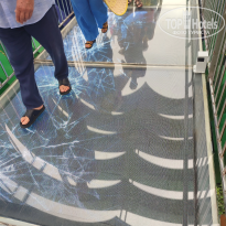 фото из отзыва ID 2722258