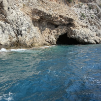 фото из отзыва ID 2722268