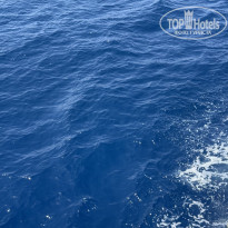 фото из отзыва ID 2722268