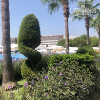 фото из отзыва ID 2722275