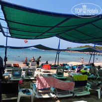 фото из отзыва ID 2722296