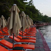 фото из отзыва ID 2722303