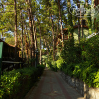 фото из отзыва ID 2722303