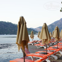 фото из отзыва ID 2722303