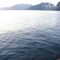 фото из отзыва ID 2722303