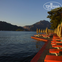 фото из отзыва ID 2722303