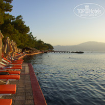 фото из отзыва ID 2722303