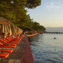 фото из отзыва ID 2722303