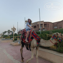 фото из отзыва ID 2722291