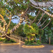 фото из отзыва ID 2722323