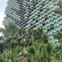 фото из отзыва ID 2722323