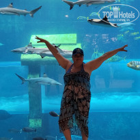 фото из отзыва ID 2722323