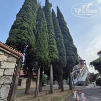 фото из отзыва ID 2722357