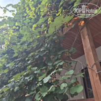 фото из отзыва ID 2722357