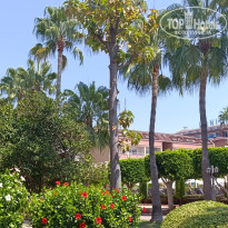 фото из отзыва ID 2722366