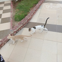 фото из отзыва ID 2722370