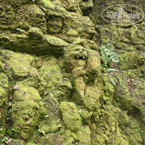 фото из отзыва ID 2722383