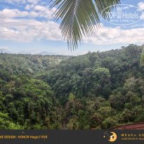 фото из отзыва ID 2722383