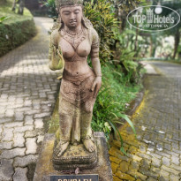 фото из отзыва ID 2722383