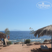 фото из отзыва ID 2722393