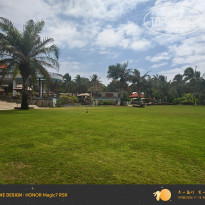 фото из отзыва ID 2722390