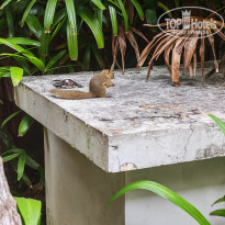 фото из отзыва ID 2722390