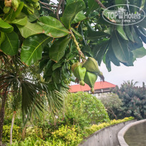 фото из отзыва ID 2722390