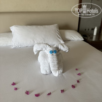 фото из отзыва ID 2722408