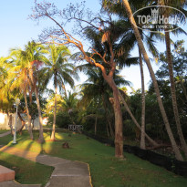 фото из отзыва ID 2722415