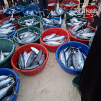 фото из отзыва ID 2722422