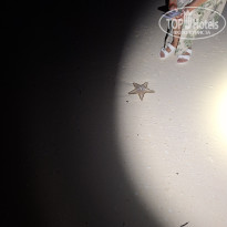 фото из отзыва ID 2722422