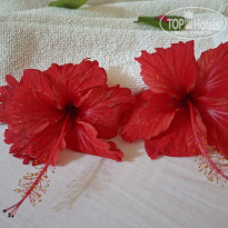 фото из отзыва ID 2722422