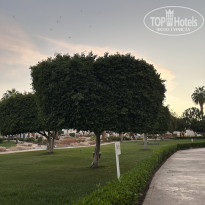 фото из отзыва ID 2722448