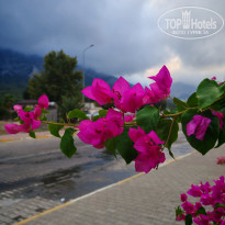 фото из отзыва ID 2722443