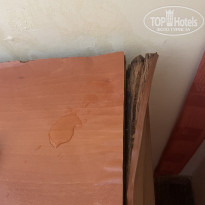 фото из отзыва ID 2722453