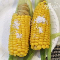 фото из отзыва ID 2722454