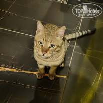 фото из отзыва ID 2722459