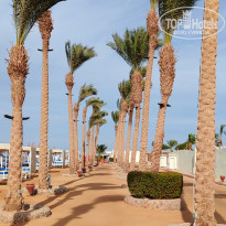 фото из отзыва ID 2722459