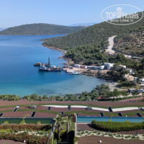 фото из отзыва ID 2722467