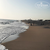 фото из отзыва ID 2722468