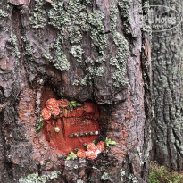 фото из отзыва ID 2722492