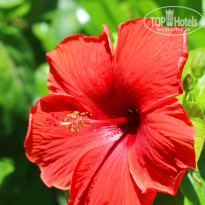 фото из отзыва ID 2722498