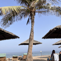 фото из отзыва ID 2722506