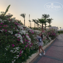 фото из отзыва ID 2722507