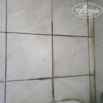 фото из отзыва ID 2722533