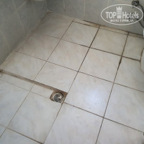 фото из отзыва ID 2722533