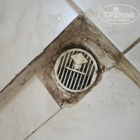 фото из отзыва ID 2722533