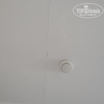 фото из отзыва ID 2722533