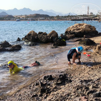 фото из отзыва ID 2722536